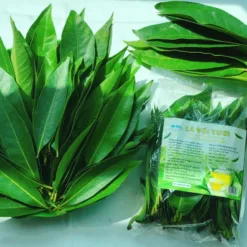Viba fresh guava leaves