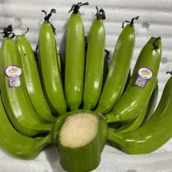 Banana bunch